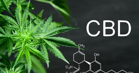 Cbd Companies To Invest In