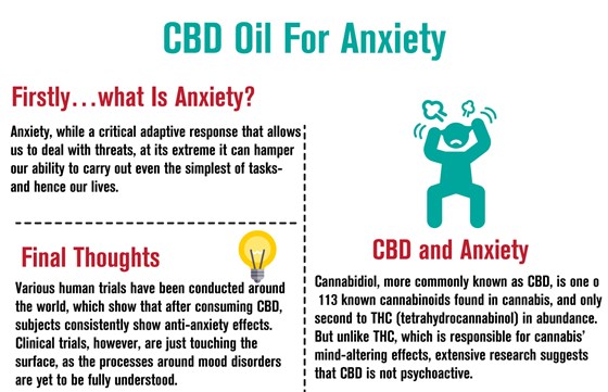 Cbd For Panic Attacks