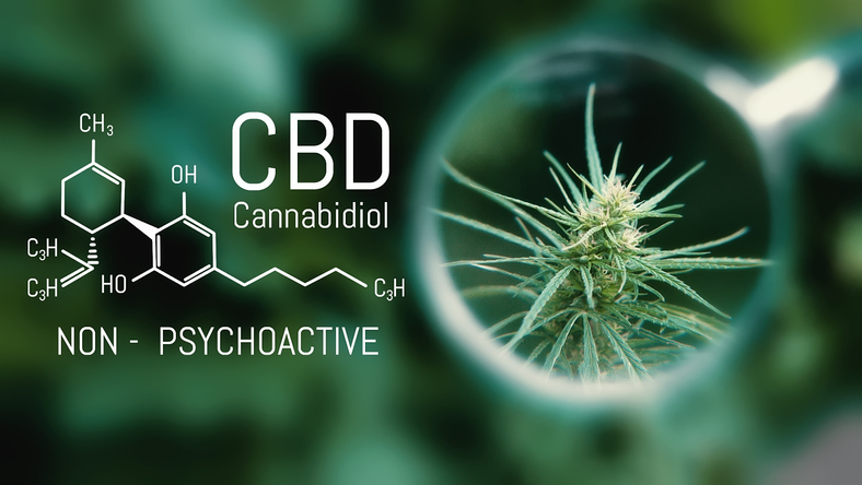 Cbd Health