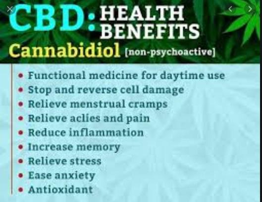 Cbd Info