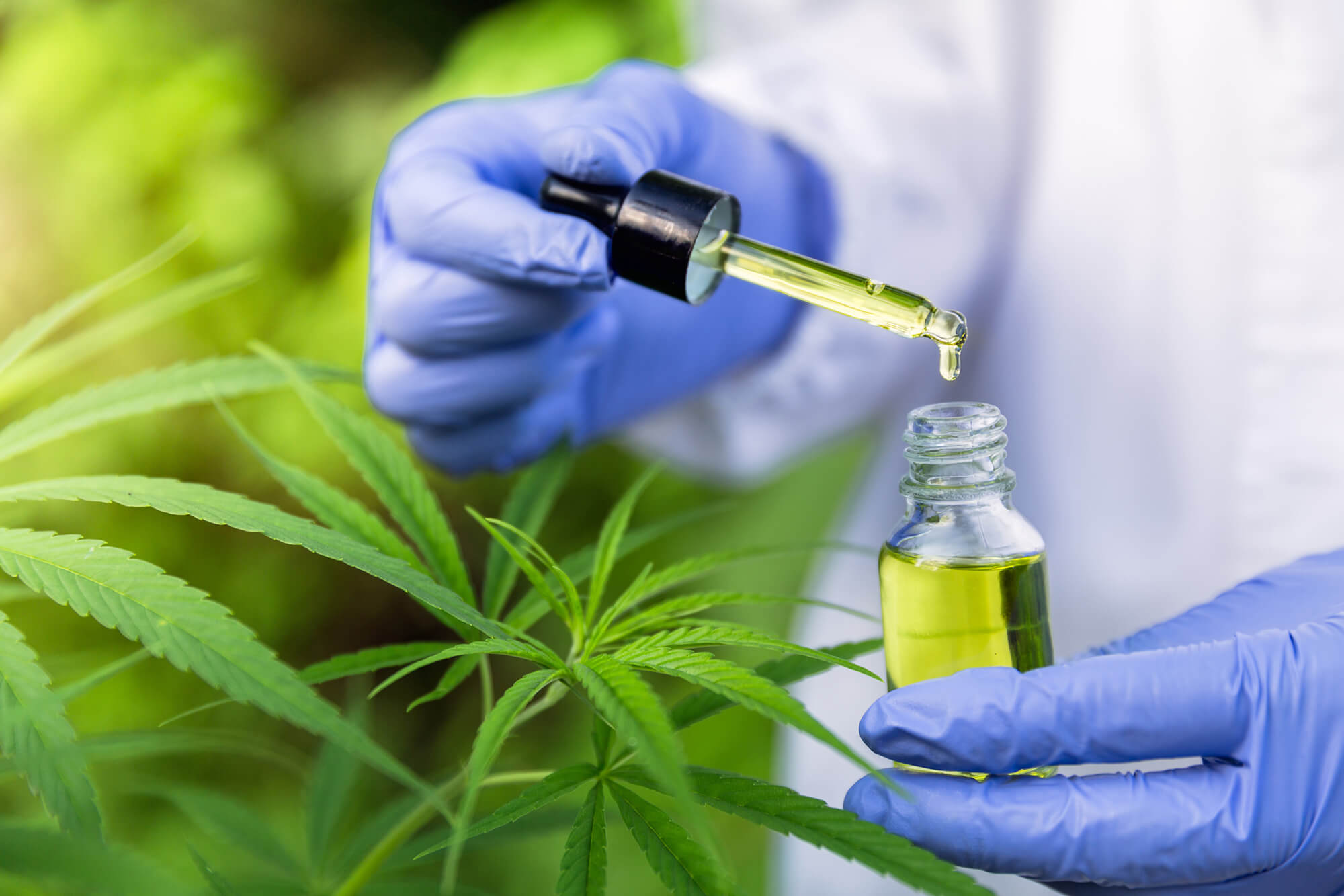 Cbd Oil For Cancer Treatment