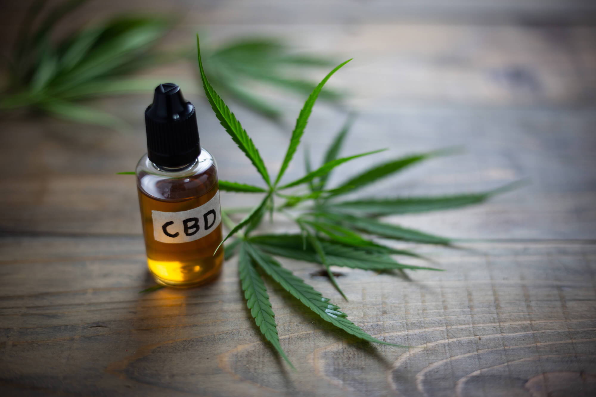 Does Cbd Oil Contain Thc