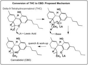 Cbd In Georgia