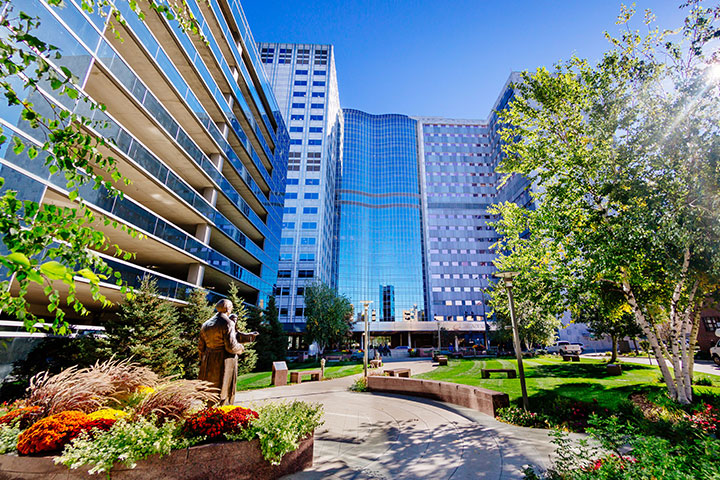 Mayo Clinic College Of Medicine And Science