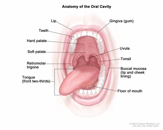 Oral Definition