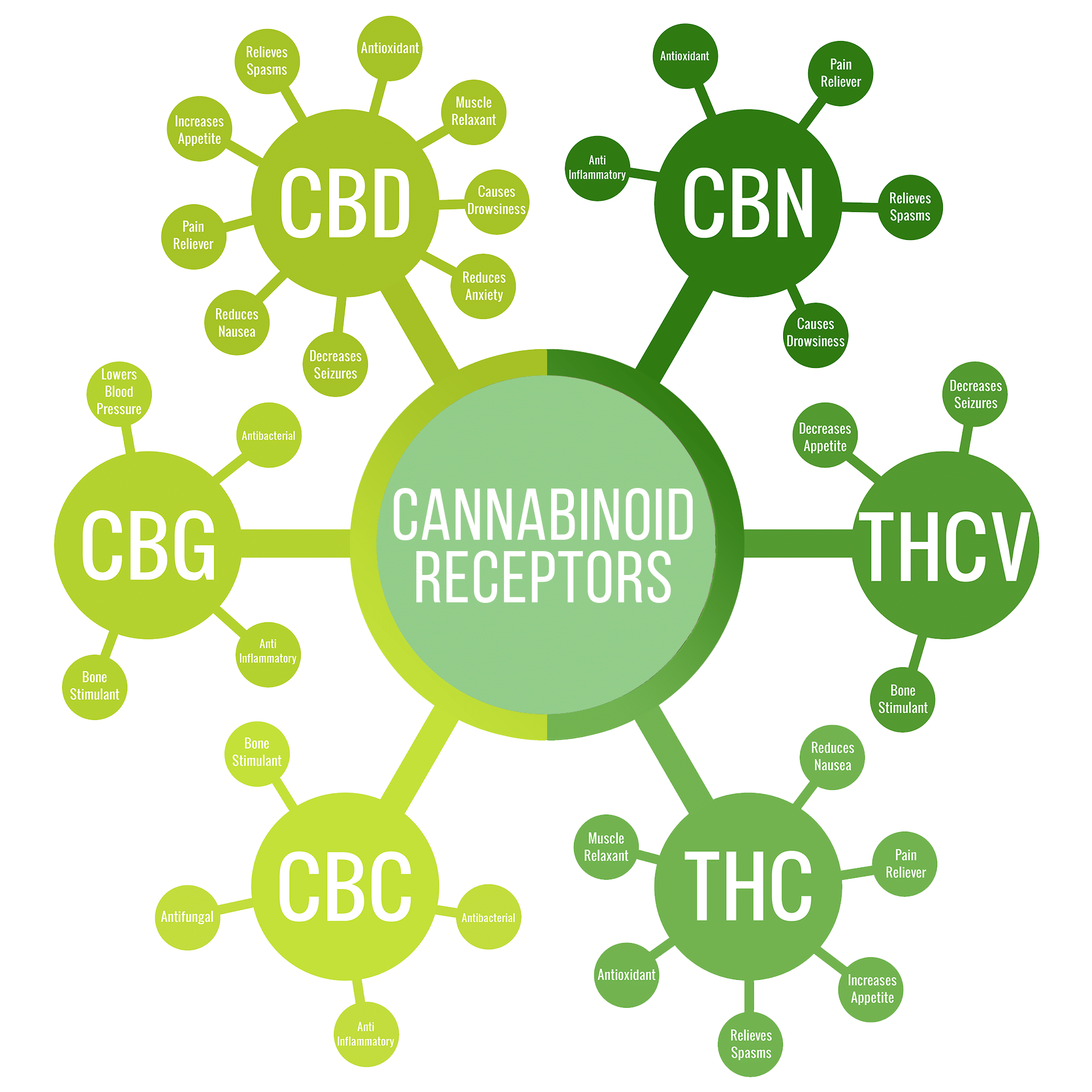 Types Of Cannabinoids