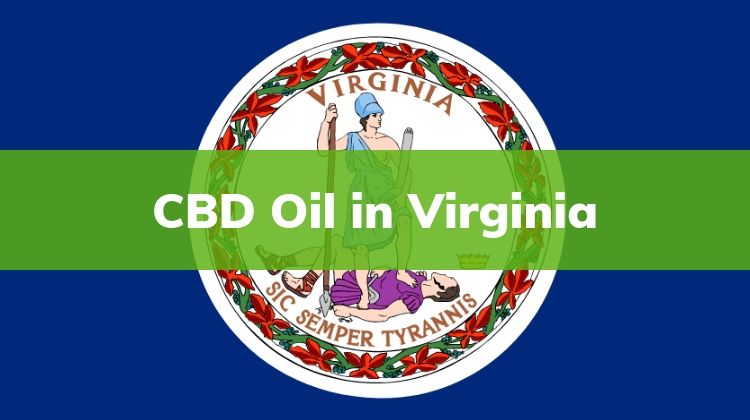 Where To Find Cbd Oil For My Do In Virginia