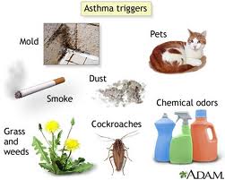 Asthma And Marijuana