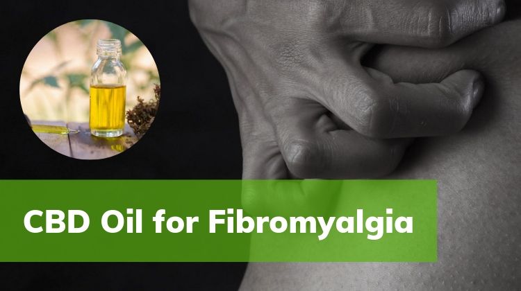 Best Cbd Oil For Fibromyalgia