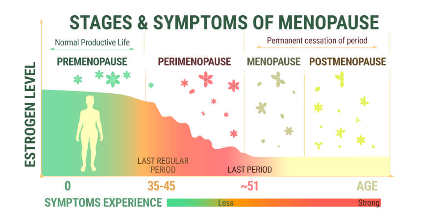 Can Cbd Oil Bring Back My Menstrual Cycle When In ...