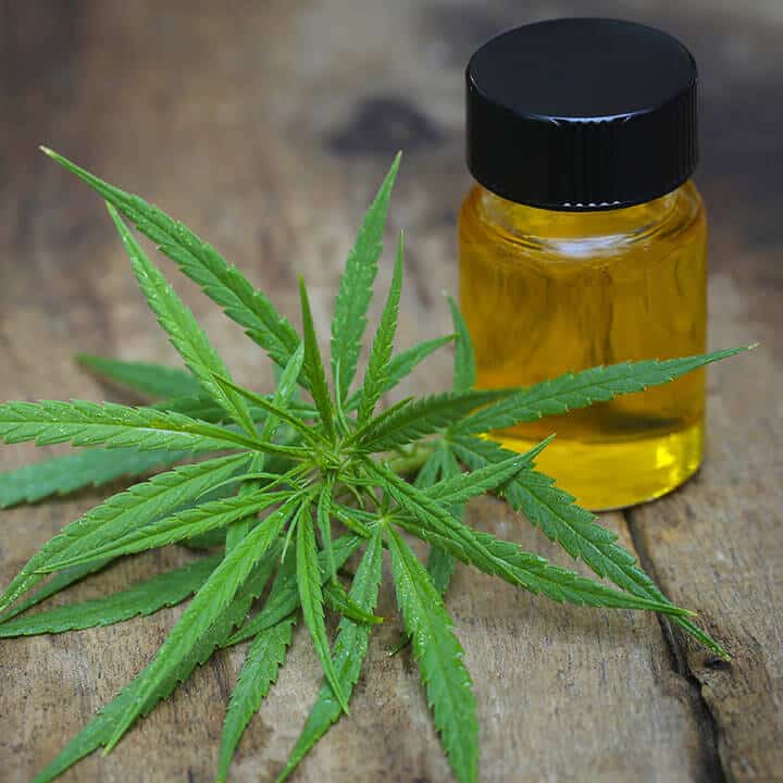 Cbd Oil Estrogen