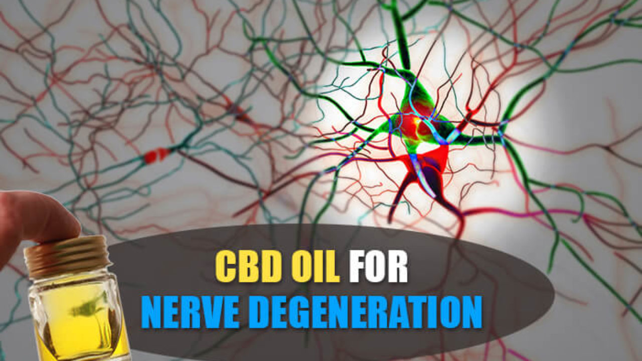 Cbd Oil For Nerve Regeneration