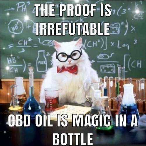 Cbd Oil Meme