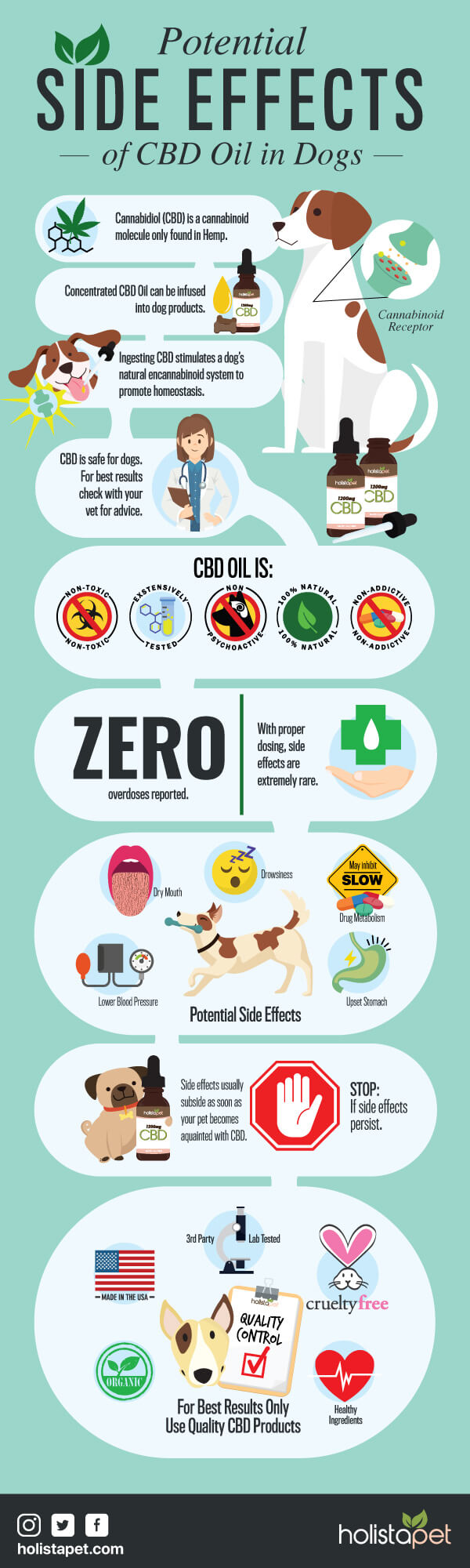 Cbd Oil Side Effects In Dogs