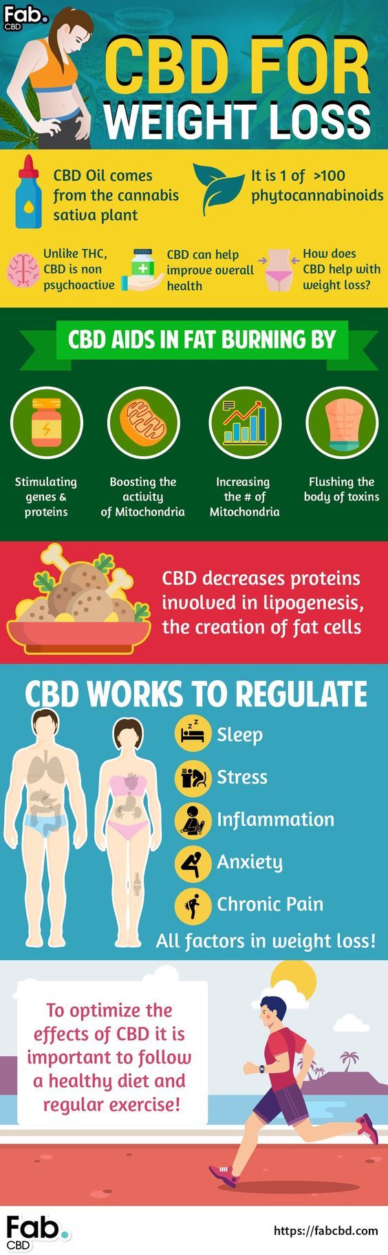 Cbd Oil Weight Loss Results