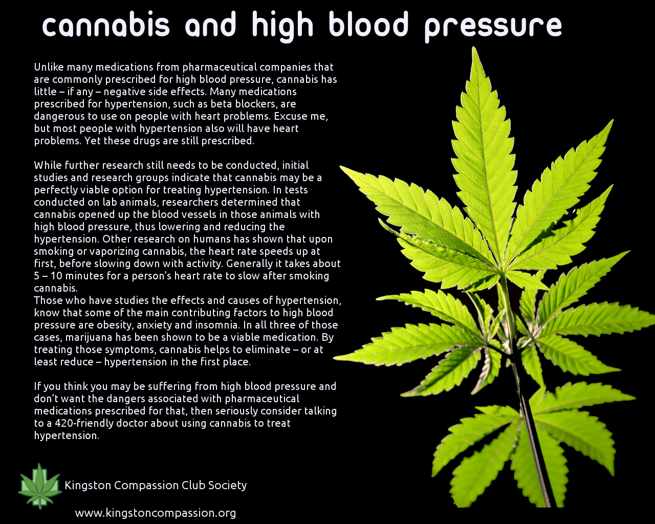 Does Pot Lower Blood Pressure