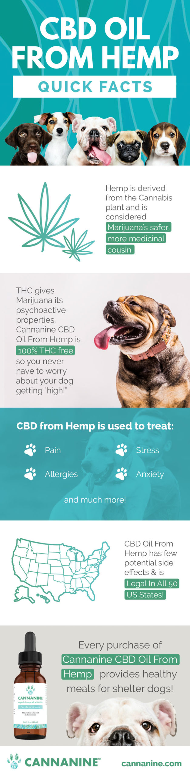 How Long Does Cbd Oil Take To Work On Dogs