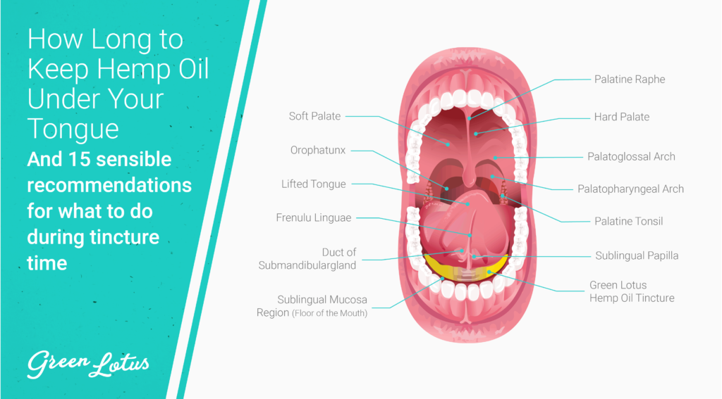 How Long To Hold Cbd Oil Under Tongue » CBD Oil Treatments
