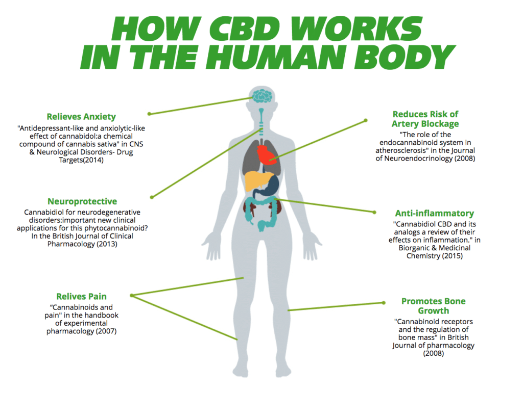 How Much Cbd Oil Is Appropriate For My Neuropathy Pain