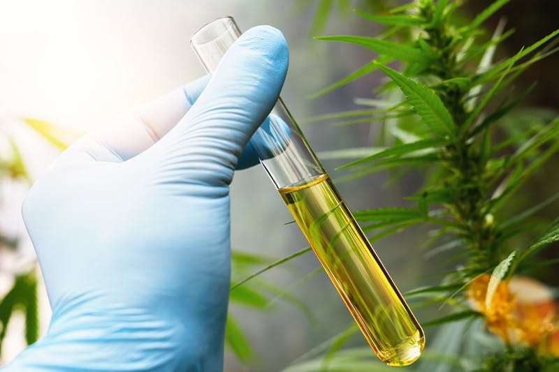 How To Extract Cbd Oil