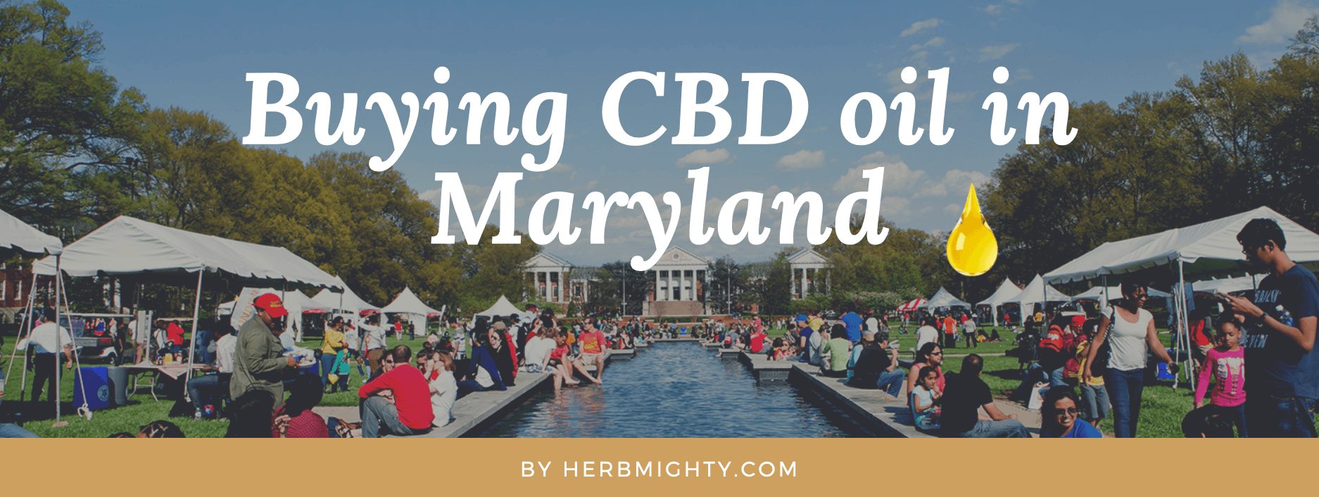 How To Get Cbd Oil In Maryland