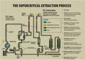 How To Make Cbd Oil Co2 Extraction