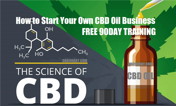 How To Start Your Own Cbd Oil Business