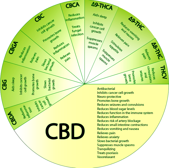 What Are Cbds