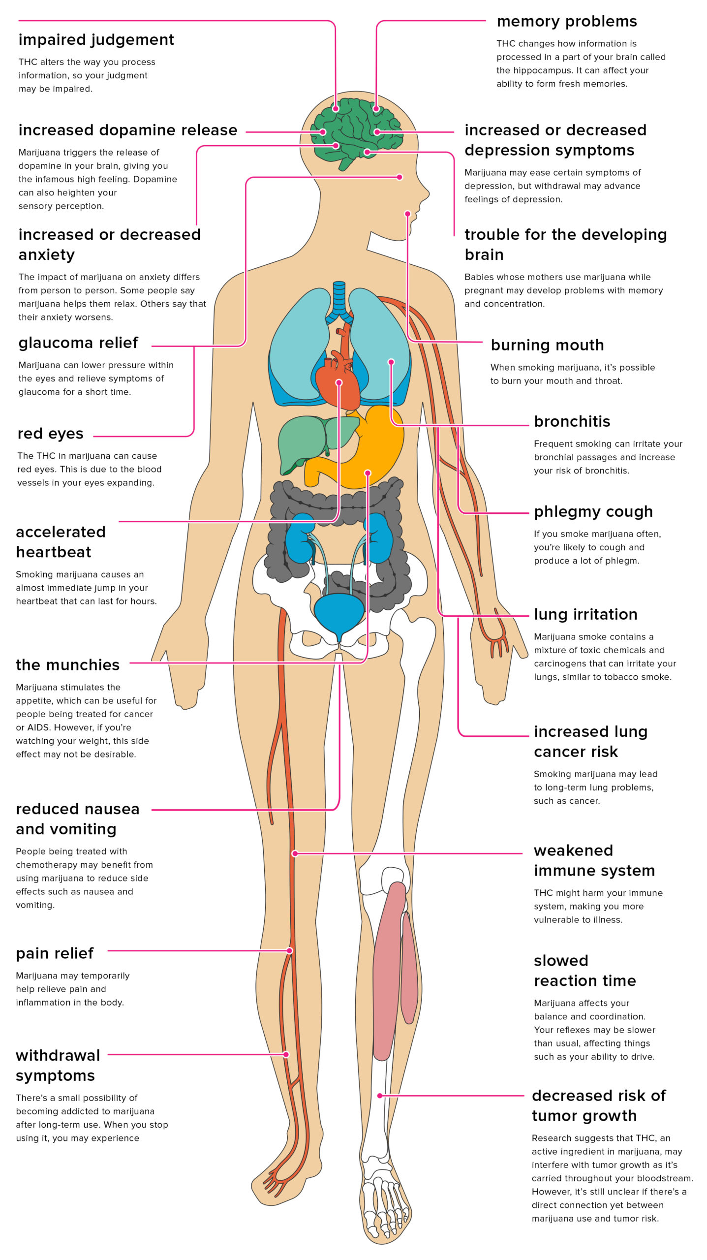 What Are The Negatives To Smoking Cbd Oil