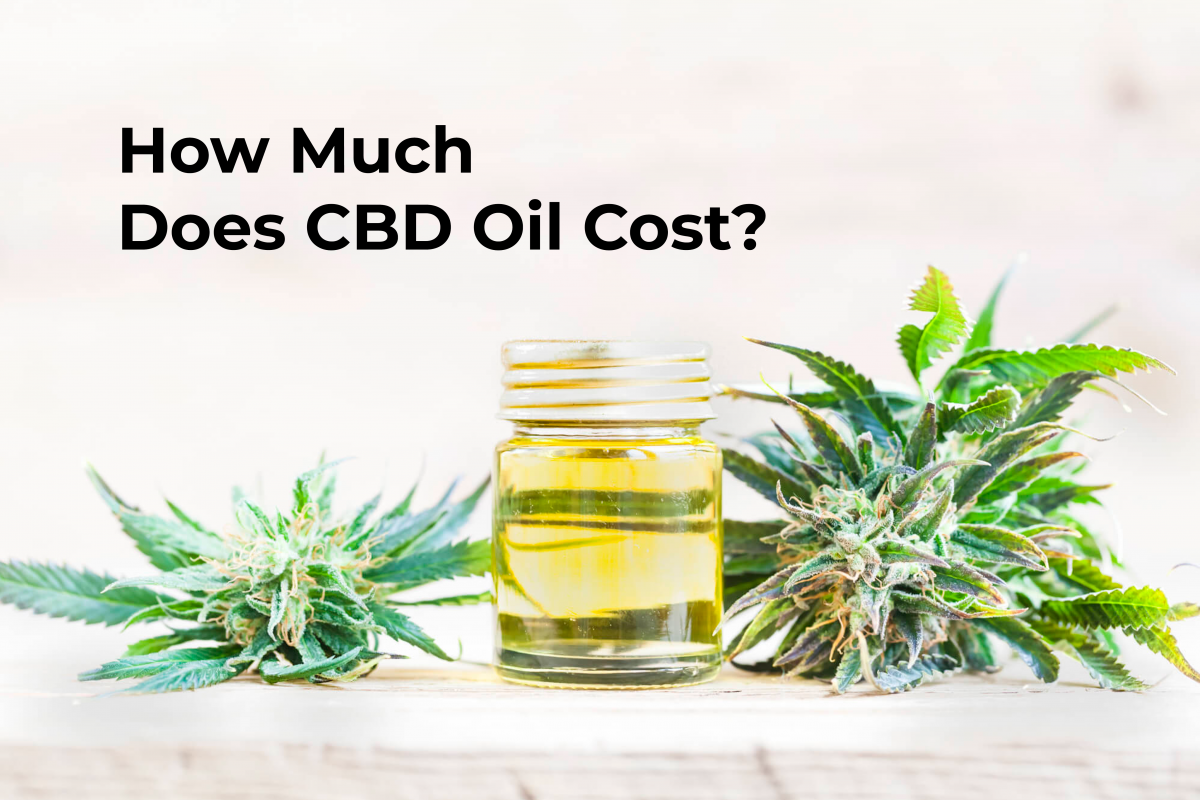 What Does Cbd Oil Cost