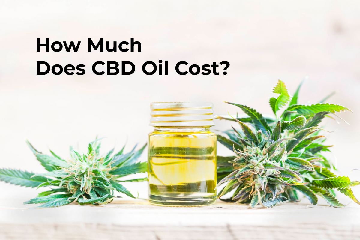 What Dose Cannabidiol Cbd Oil Cost