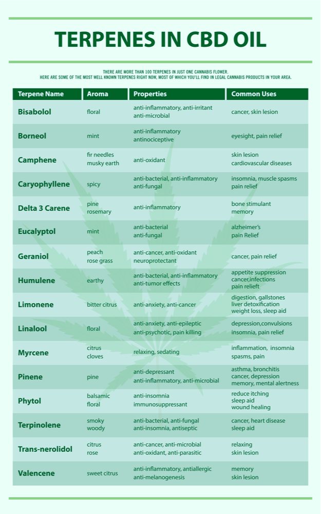 What Is Terpene In Cbd Oil