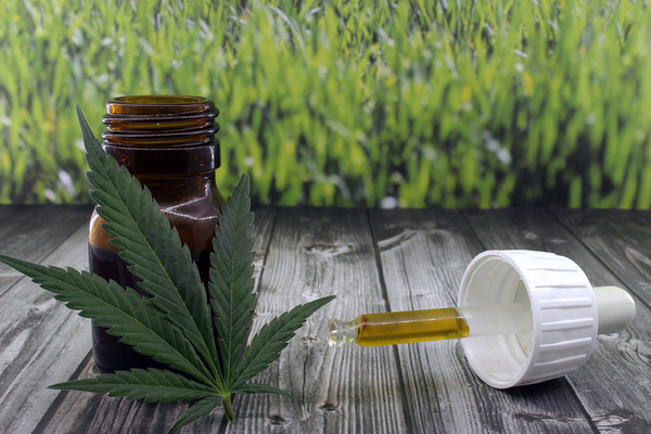 Where Can I Buy Cbd Oil In Alabama?