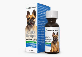 Where To Buy Cbd Oil For Pets In San Diego Ca