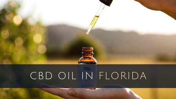 Where To Get Cbd Oil In Florida
