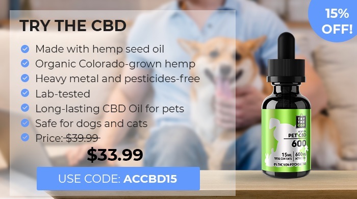 Which Is Safer To Give A Dog Cbd Oil Or Hemp